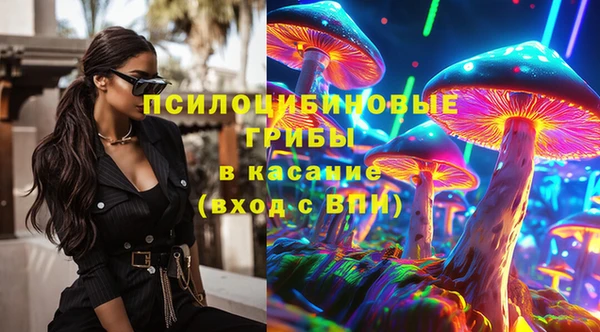 дурь Новозыбков