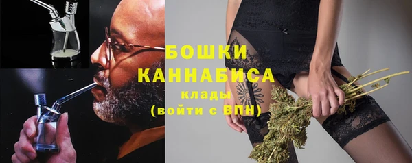 шишки Нягань