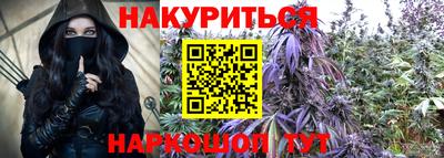 apvp Канаш