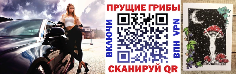 Псилоцибиновые грибы Magic Shrooms  купить наркоту  площадка клад  Сертолово 