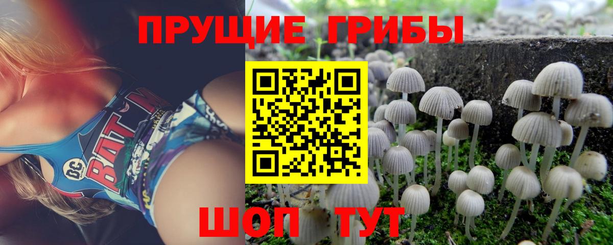 Галлюциногенные грибы ЛСД  Галлюциногенные грибы мухоморы  Сертолово  Вход с VPN 