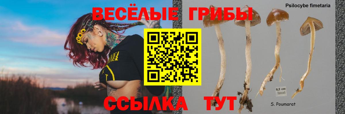 Псилоцибиновые грибы ЛСД Сертолово